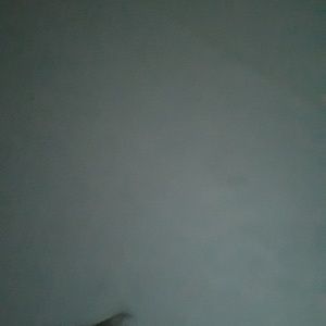 Meet your Posher, Travis